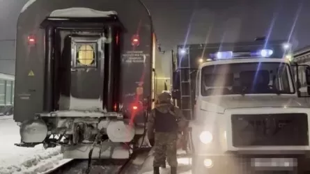 Аса ірі мөлшерде алаяқтық жасаған күдікті Ресейден экстрадицияланды