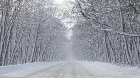 Астану заметет, а в Алматы и Шымкенте потеплеет 