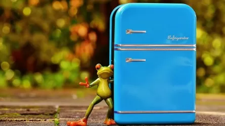 В ЕАЭС введут тотальный контроль бытовой техники 