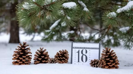 18 января в мире отмечают День снега и снеговика