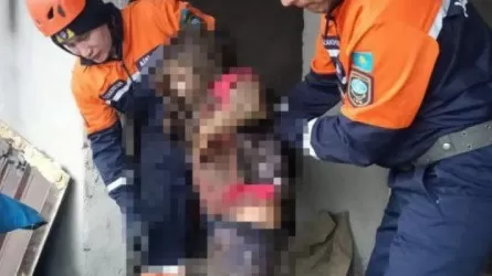 Жамбыл облысында 11 жастағы қыз бала көшедегі дәретханаға түсіп кетті