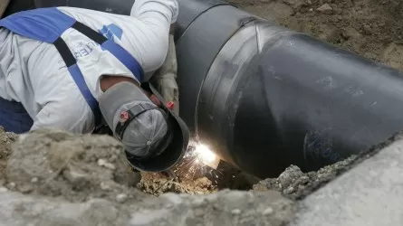 Рынок труда РК в 2025 году дал неожиданный перекос 