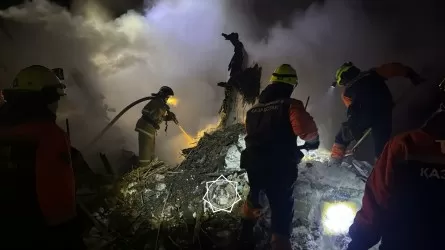 Солтүстік Қазақстанда жер үйден өрт шығып, әкесі мен баласы көз жұмды