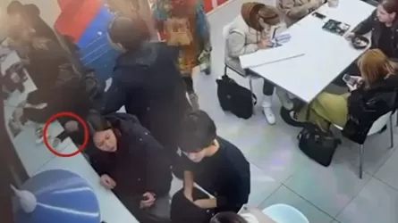 Алматыда жаңа жыл қарбаласында ұрлық жасаған күдіктілер ұсталды