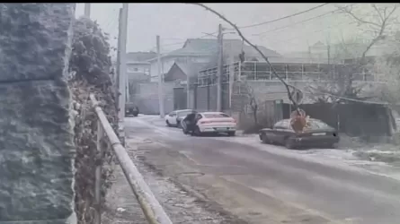 В Алматы раскрыли разбойное нападение на 30 млн тенге 