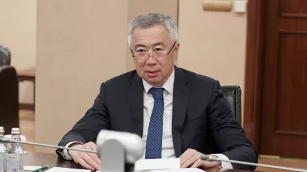 Вице-премьер шағын және орта бизнеске қандай қолдау көрсетілетінін түсіндірді