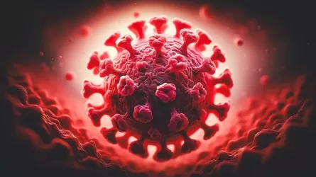 Вспышку смертельного вируса зафиксировали в Индии