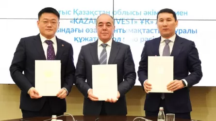 Плата за доступность: новый подход к инвестициям внедряют в РК 