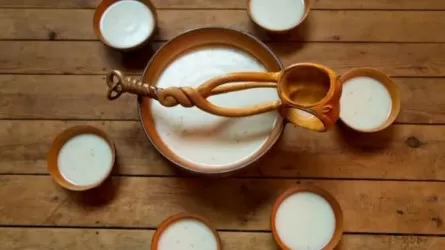 Кумыс при вождении: признают ли его алкоголем 