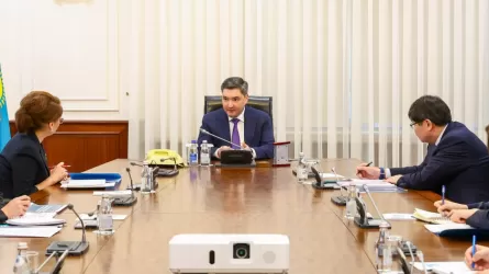 Приписки и двойной учет выявил аудит частных школ в РК 