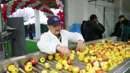 Способ делать деньги на &laquo;лишних&raquo; яблоках нашли в Туркестанской области