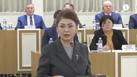 Аида Балаева о Конституции: Изменения &ndash; это не очередная техническая настройка