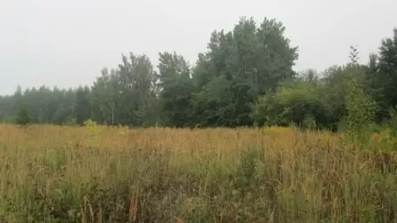 В Казахстане пересмотрели перевод охраняемых территорий в земли запаса