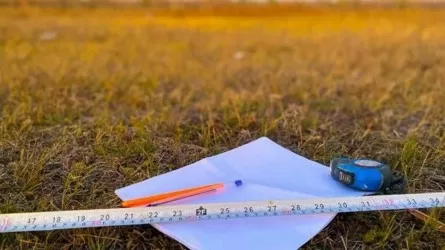 2,1 млн га пайдаланылмаған жер мерзімінен бұрын мемлекет меншігіне қайтарылды