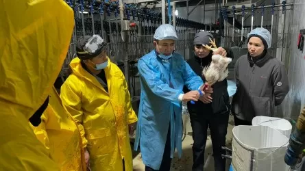Былтыр елімізде 450 кәсіпорын халал куәлігін алды