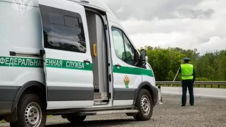 Некоторые особенности пересечения границы ЕАЭС объяснили российские таможенники 