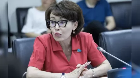 Қазақстанда Roblox-ты тексеру мәселесі көтерілді