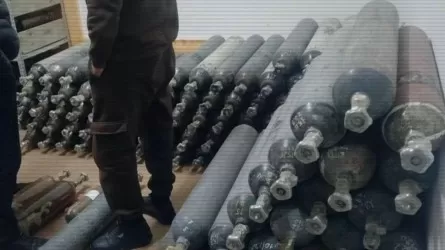 &laquo;Смешарики&raquo; под запретом: на юге Казахстана накрыли крупный склад