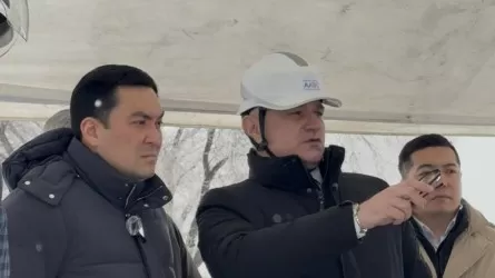 Алматы задыхается &ndash; глава минэнерго раскритиковал модернизацию ТЭЦ