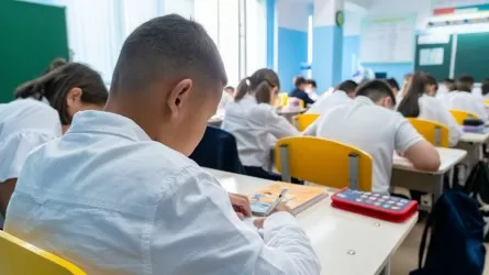 Резкая смена курса: представители сферы частного образования в Казахстане призывают чиновников к диалогу 