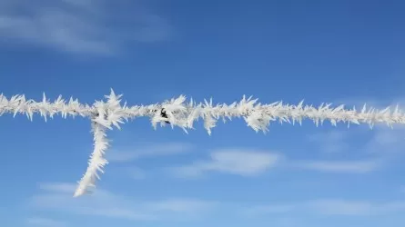 Как правильно питаться в морозы 