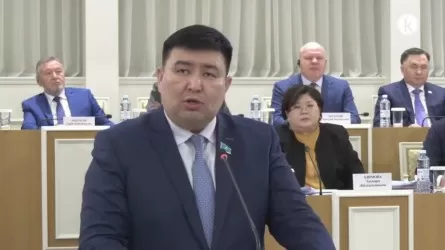 При создании нового парламента мы отказались от лишних затрат &ndash; Елнур Бейсенбаев