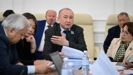 Жеке деректерді қорғау Конституцияда бекітілуі тиіс &ndash; Марат Башимов 