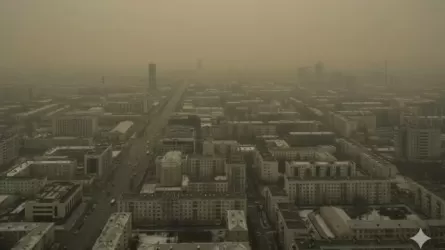 Эффект &laquo;черного неба&raquo;: в пяти городах Казахстана воздух пропитался продуктами горения 