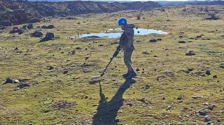 Казахстанские саперы обезвредили 1200 мин в Сирии 