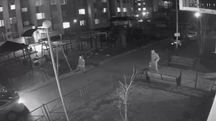 Шымкентте жас қызды пышақтап өлтірген адам іздестіріліп жатыр   