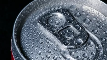 ВОЗ срочно обратилась к правительствам стран 