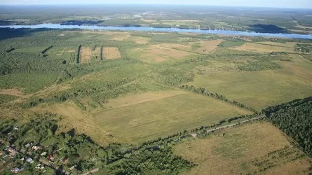 Ақмола облысында 82 млн теңгеге бағаланған жер мемлекетке қайтарылды