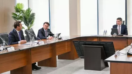 Үкімет аудиторлық тексерудің алдын ала қорытындысын жариялады