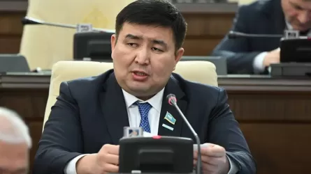 Мажилисмен: Конституционная реформа повысит институциональную роль политических партий