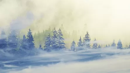 Туман, гололед и ветер: что ждет Казахстан 21 января  