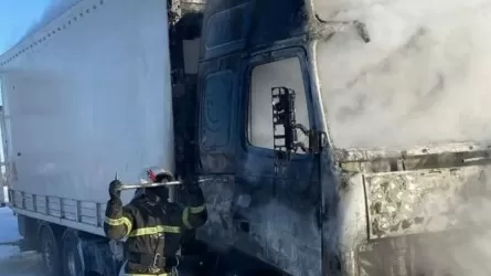 Павлодар облысындағы тасжолда 15 жылқы тиелген жүк көлігі өртенді