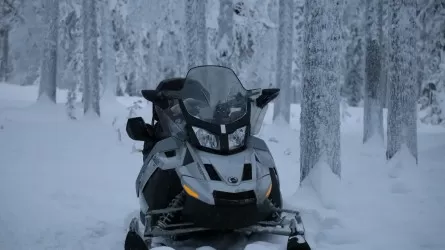 Снегоходами в обход границы: в РК вскрыли канал незаконной миграции