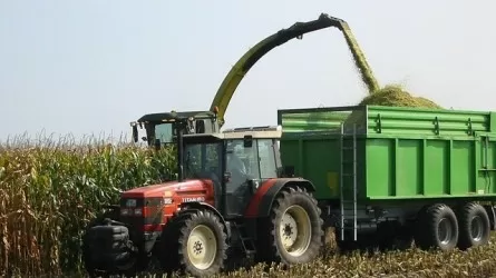 Казахстан расширяет посевы высокомаржинальных культур 