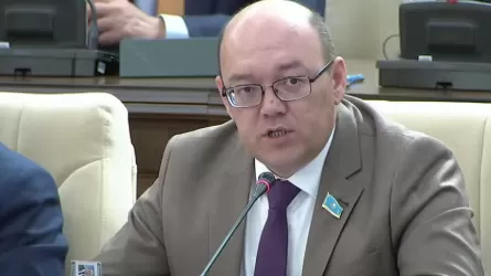 ЖСДП төрағасы: Конституциялық реформа &ndash; бұл қоғамның нақты сұраныстарына жауап