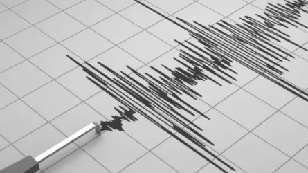 Елдің оңтүстігінде жер сілкінді