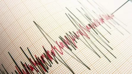 Казахстанские сейсмологи сообщили о мощном землетрясении 