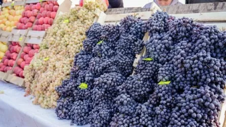 Астанада демалыс күндері ауыл шаруашылығы жәрмеңкесі өтеді