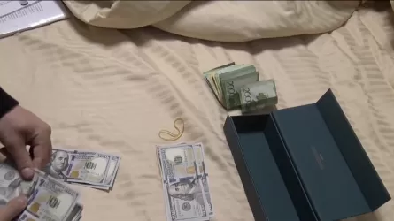 Павлодар облысында HAS қаржы пирамидасына тағы 125 адам алданып қалған