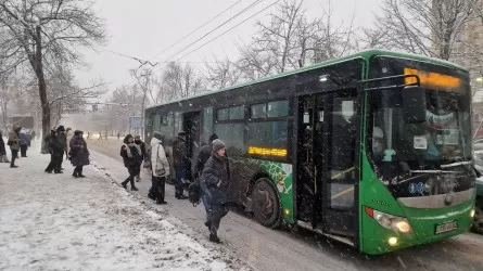 Алматыда автобус жүргізушілеріне арналған демалыс орындары салынады