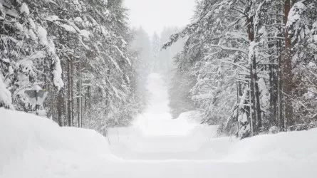 Туман и ветер перекрыли движение на республиканской дороге 