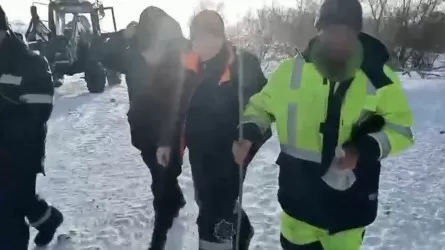 Шығыс Қазақстанда адасқан малшы табылды