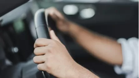 Сотни авто с подложными номерами поймали в Казахстане