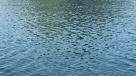 Названа самая древняя река на Земле 