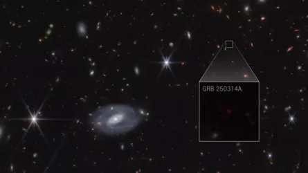 В далеком космосе заметили загадочный световой 10-секундный сигнал  