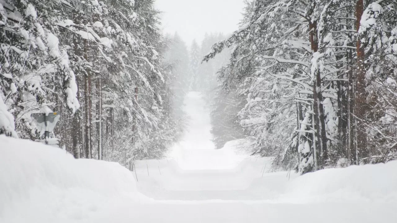 Туман и ветер перекрыли движение на республиканской дороге 